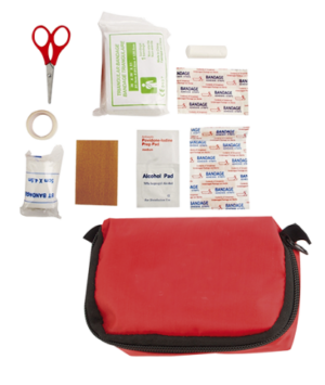 ΚΙΤ ΠΡΩΤΩΝ ΒΟΗΘΕΙΩΝ, FIRST AID KIT, ALBAINOX, 39984